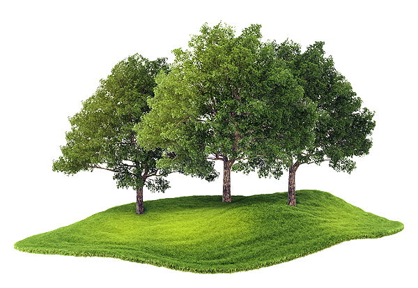 Die Quellen in der Parklandschaft Die Quellen in der Parklandschaft